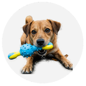 Bravery Cordero Perro Adulto Pequeño - 2kg