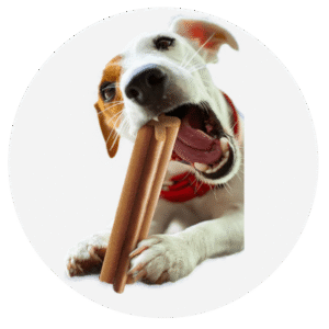 Bravery Cordero Perro Adulto Pequeño - 2kg