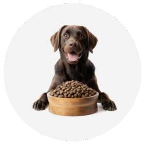 Bravery Cordero Perro Adulto Pequeño - 2kg