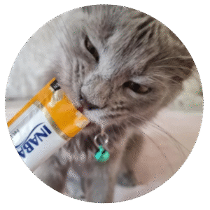 America Litter Clean Paws