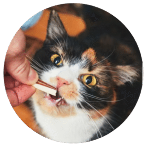 Churu variedades Atún 20 sobres