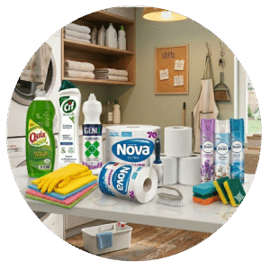 Categoria Articulos de limpieza